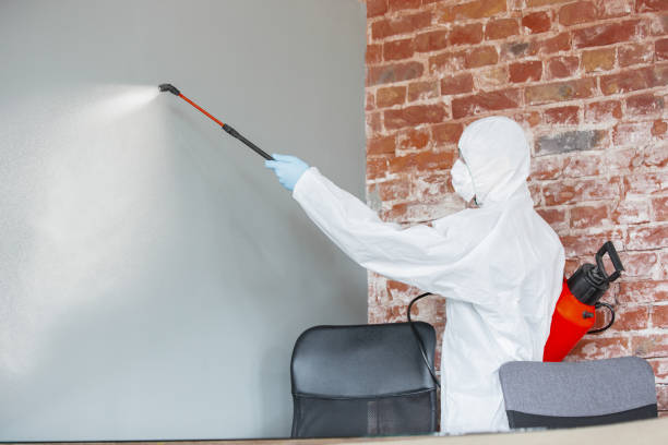 Asbestos and Lead Testing During Mold Inspection in Tucson Estates, AZ