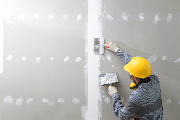 Best Flood Damage  in Tucson Estates, AZ