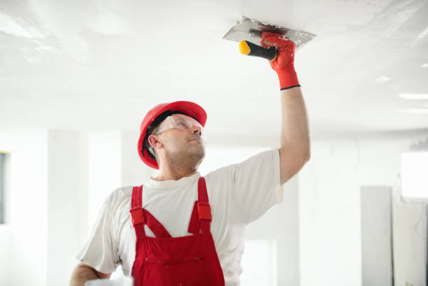 Best Post-Construction Mold Inspection  in Tucson Estates, AZ